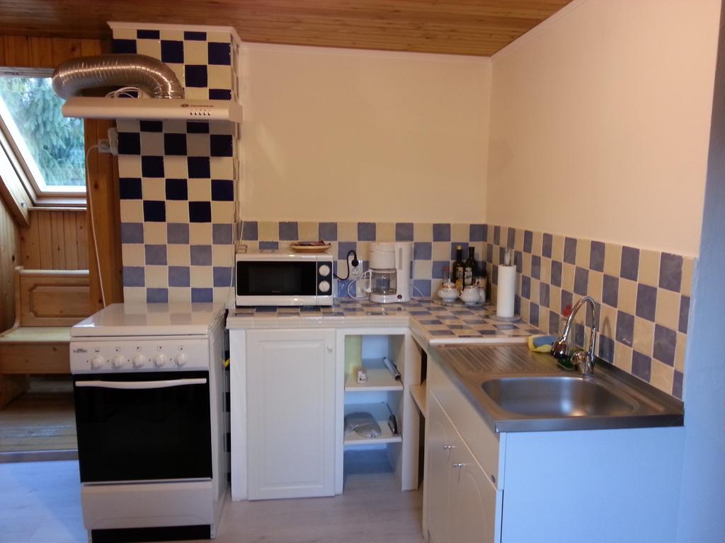 Lelia Residence Apartments Braşov Habitación foto